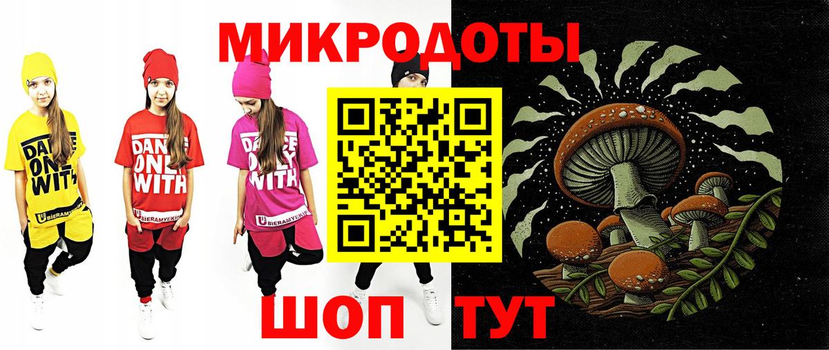 Балтийск  как найти наркотики  Вход с VPN  Псилоцибиновые грибы Psilocybe 
